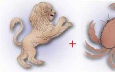 Совместимость рак и лев Совместимы лев ирак по гороскопу в жизни