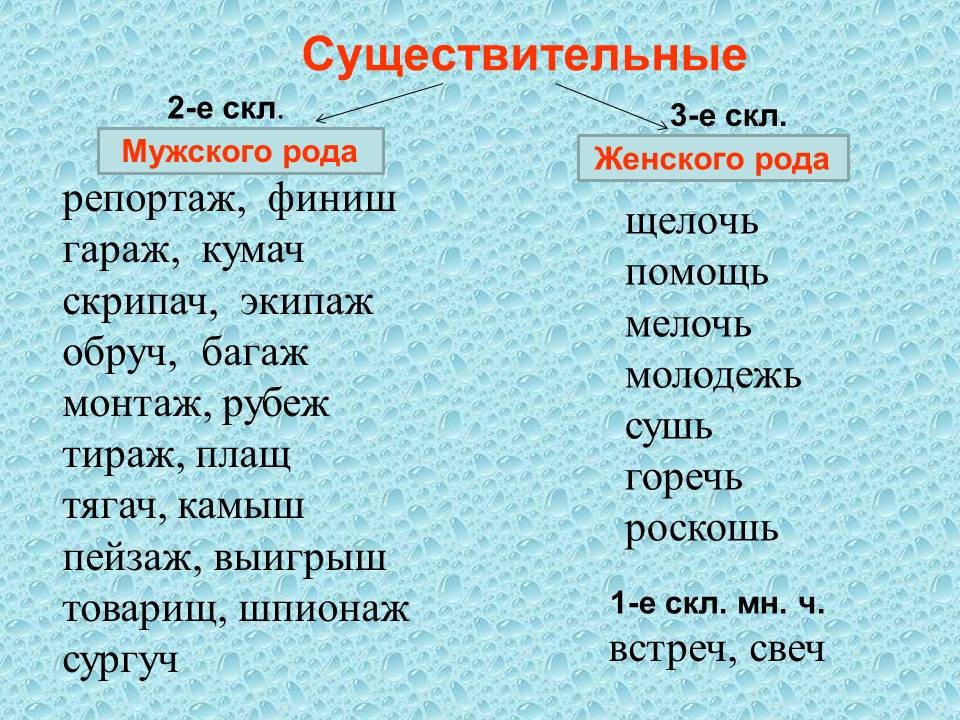 Слова всегда мужского рода